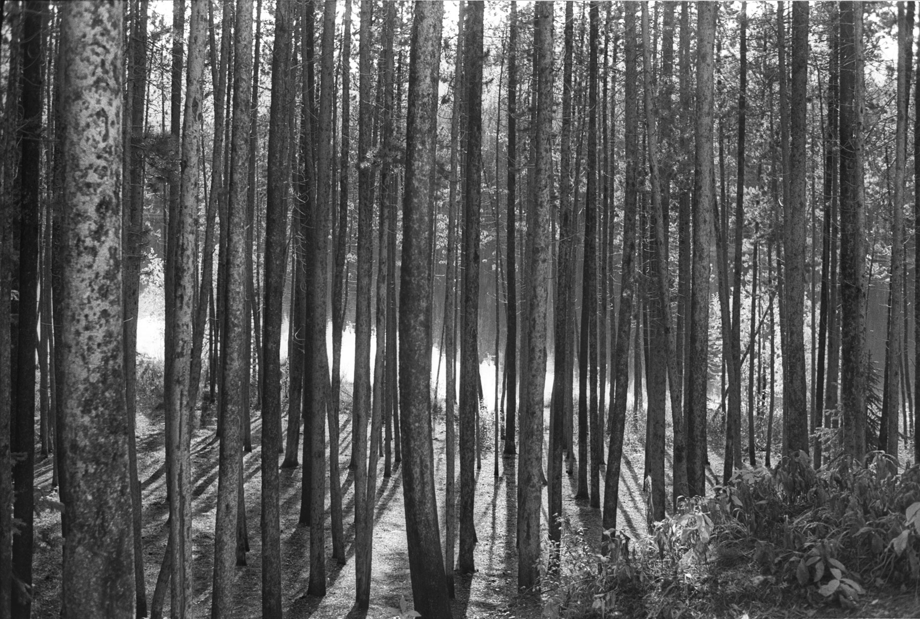 banff_bw1_20
